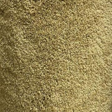 Dixie Home Corsica Prairie 12x20 feet Polyester Carpet Remnant