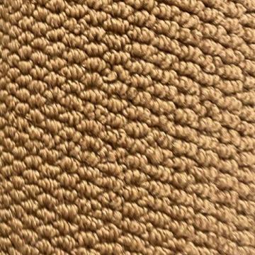 Dixie Home North Oaks Beach 12x10 feet Olefin Carpet Remnant
