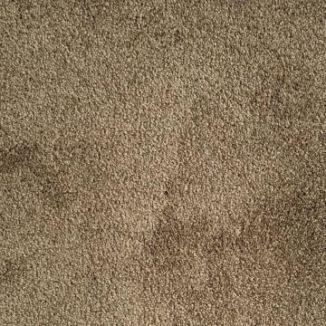 Shaw Floors Cavalier II Brown Premium Nylon Carpet
