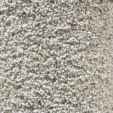 Phenix Groveland Skybolt 12x15 feet Polyester Carpet Remnant