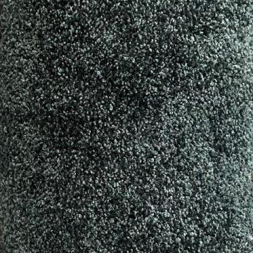 Shaw Floors Chromatic Green 12x15 feet Premium Nylon Carpet Remnant