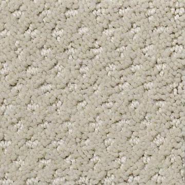 Shaw Indus. Genesis Cold Water 12x6 feet Premium Nylon Carpet Remnant