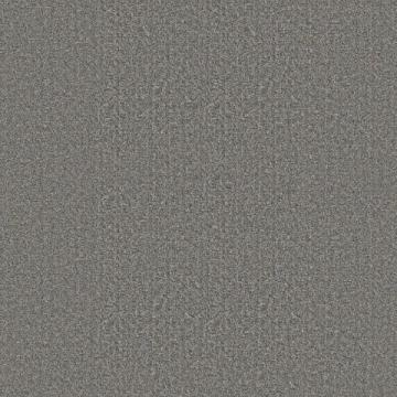 Shaw Floors Secret Passage Gray 12x9 feet Premium Nylon Carpet Remnant