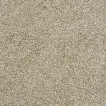 Dixie Home Fortune Rich Nylon Carpet