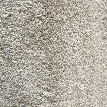 Shaw Floors Cabana Life Sugar 12x12 feet Polyester Carpet Remnant