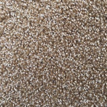 Dixie Home Shafer Point Porte Nylon Carpet