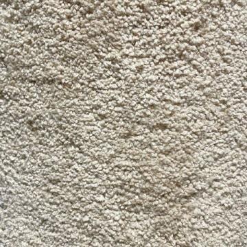 Dixie Homes Caress Gusth 12x8 feet Nylon Carpet Remnant