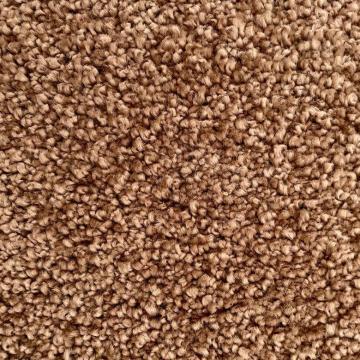 Dixie Home Caress Brush Nylon Carpet