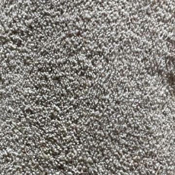 Dixie Home Shafer Zumba 12x10 feet Nylon Carpet Remnant
