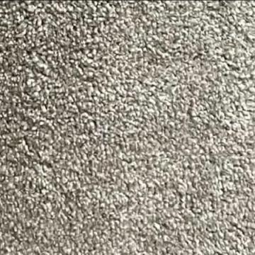 Dixie Homes Fortune Rockport 12x30 feet Nylon Carpet Remnant