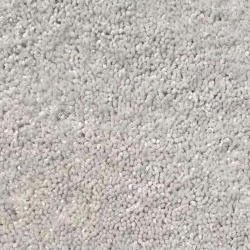 Shaw Floors Cabana Life Ice Polyester Carpet