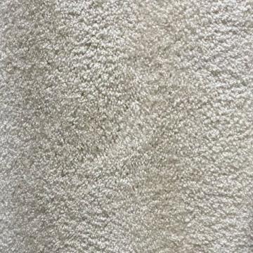 Shaw Floors Cavalier I French 12x14 feet Nylon Carpet Remnant