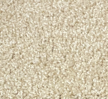 Dixie Home Alluring Camelite Nylon Carpet