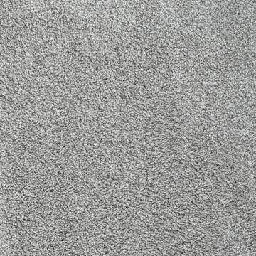 Dixie Home Alluring Driftwood Nylon Carpet