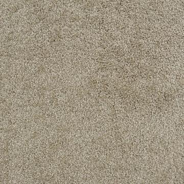 Dixie Home Alluring Rawhide Nylon Carpet