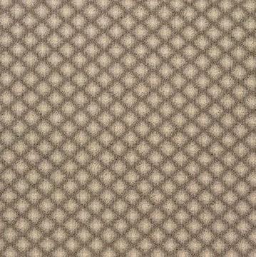 Stanton Matisse Quicksilver 13x20 feet Nylon Carpet Remnant